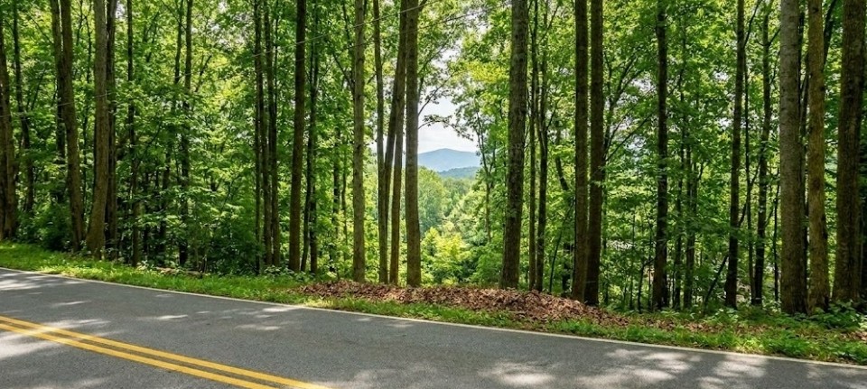 0 Carlton Road Bristol, TN 37620 - Photo 1 of 4 Gallery Image 1