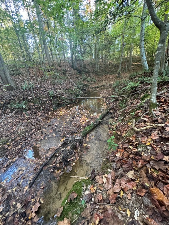 1551 Pace Bridge Road Easley, SC 29640 - Photo 15 of 29 Creek runs along back of property