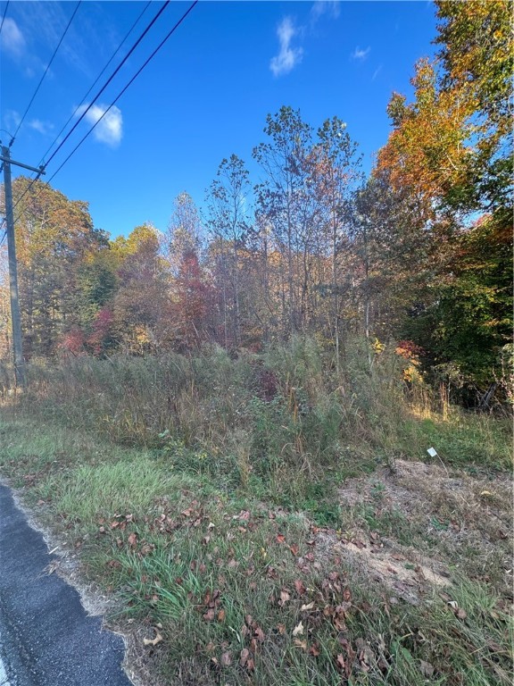 1551 Pace Bridge Road Easley, SC 29640 - Photo 6 of 29