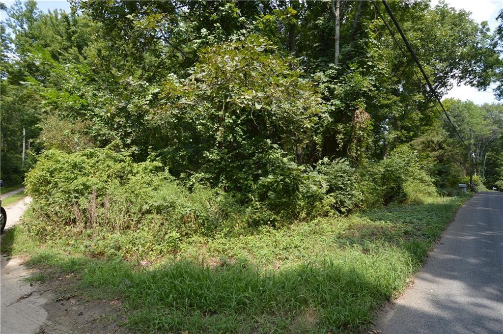124 Witter Road Salem, CT 06420 - Photo 1 of 1 a view of a lush green forest