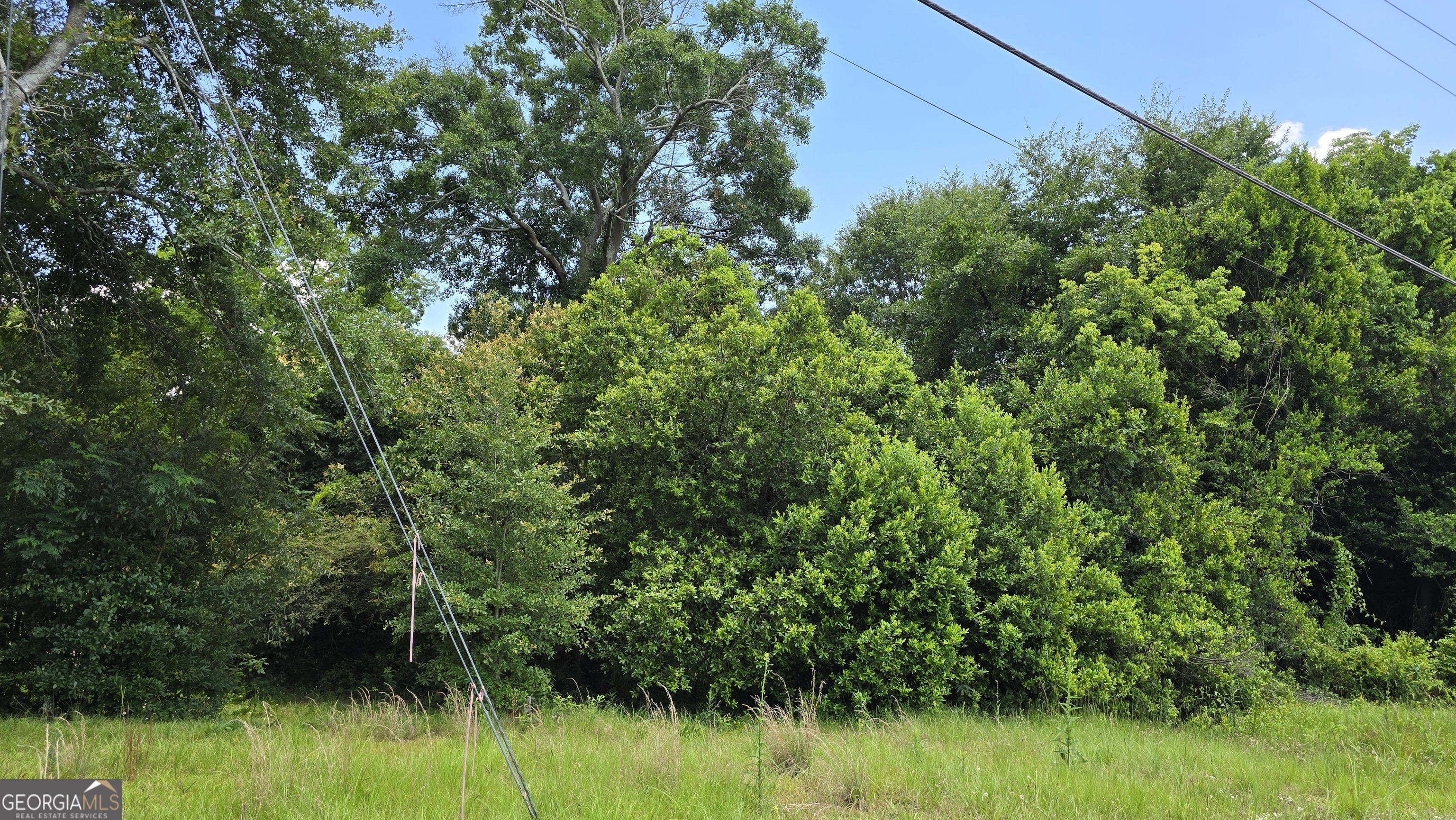 3328 Rice Mill Road Macon, GA 31206 - Photo 2 of 6