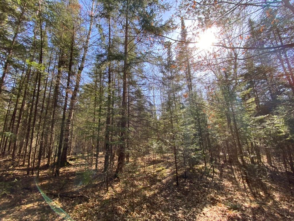 Lot14-15 Ryan Rpds Bluff Rhinelander, WI 54501 - Photo 13 of 16 Gallery Image 13