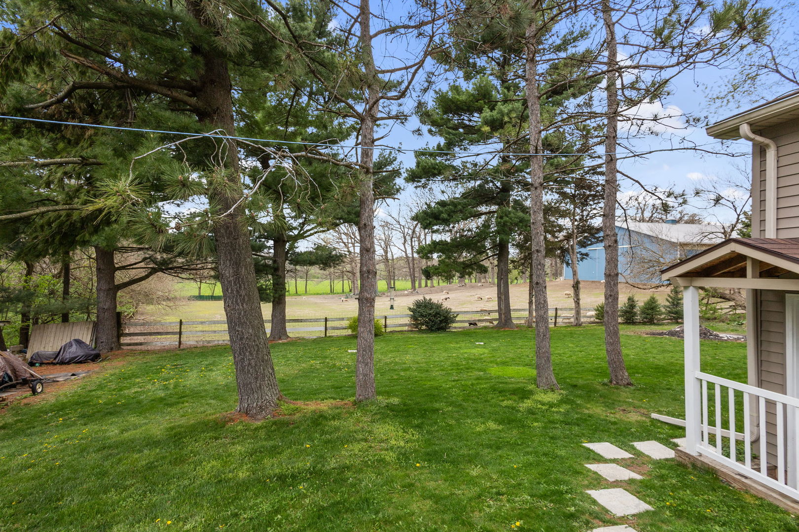 7134 North Bull Creek Road Grant Park, IL 60940 - Photo 14 of 46 a view of a yard with a tree