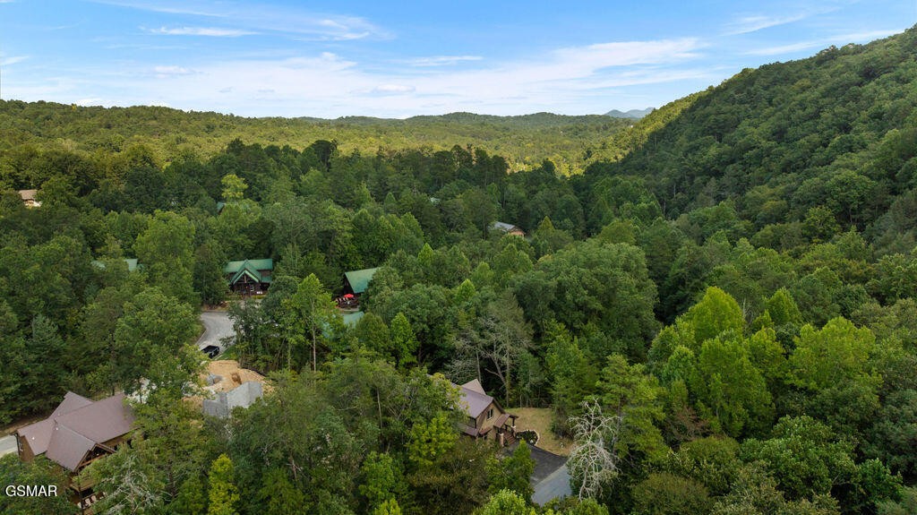 1920 Smoky Cove Road Sevierville, TN 37876 - Photo 44 of 46 Gallery Image 44