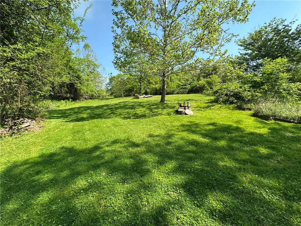 0 East McMurray Road Venetia, PA 15367 - Photo 10 of 12 a view of a yard with a tree