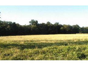 1861 Spencer Pike Road Springville, IN 47462 - Photo 5 of 6