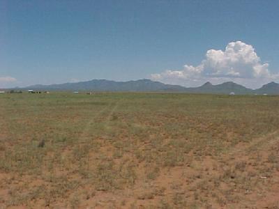 0 East Upper Elgin Road, Unit 3 Elgin, AZ 85611 - Photo 2 of 5