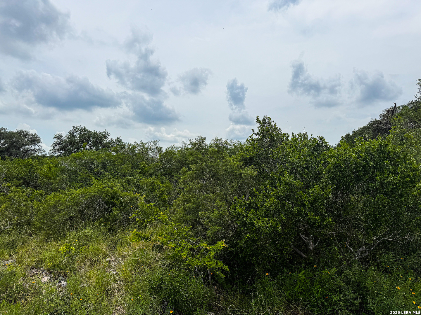 0 Lt 23 Yucca Trail Three Rivers, TX 78071 - Photo 9 of 13