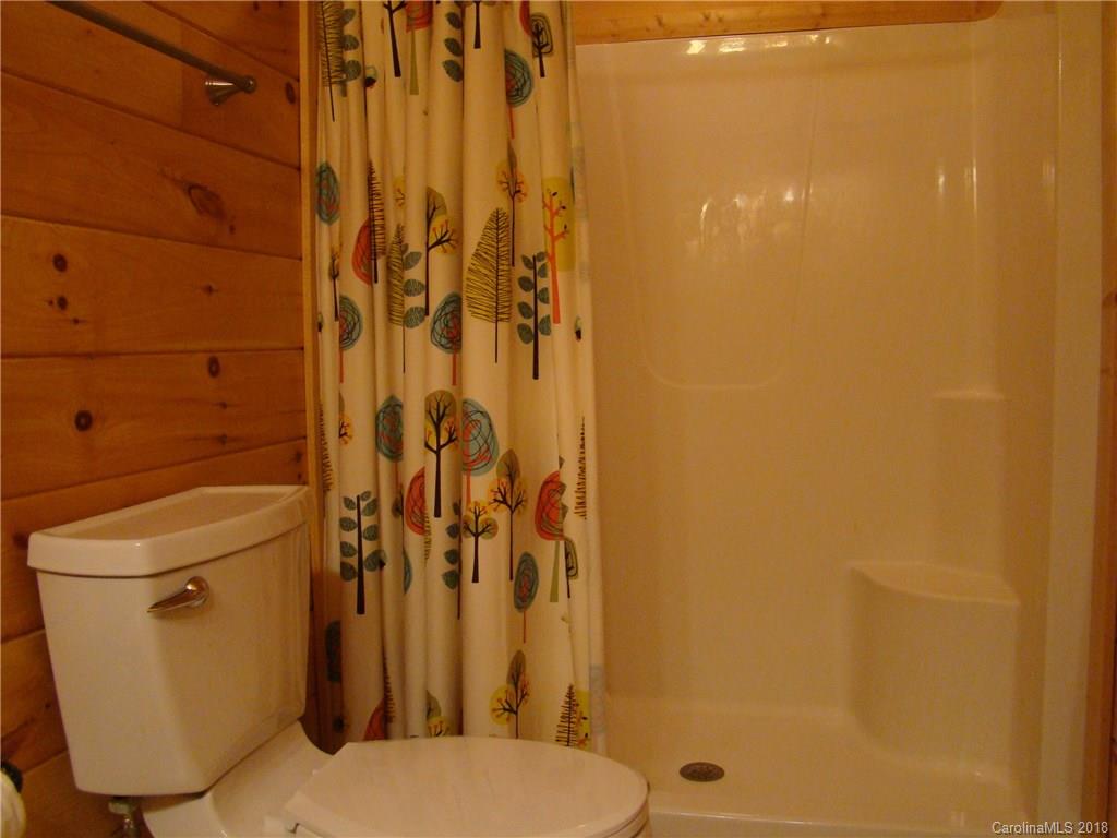 109 Azule Ridge Drive Bostic, NC 28018 - Photo 13 of 36 Gallery Image 13