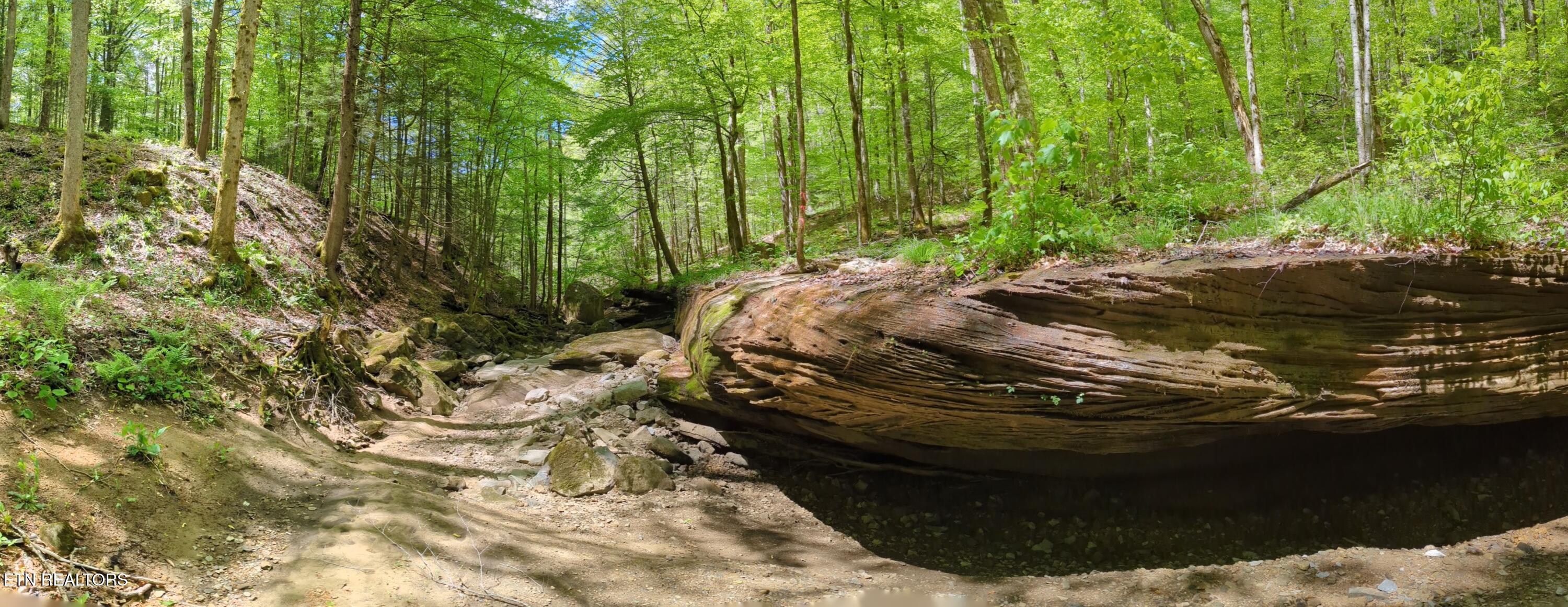 Cherokee Path Jamestown, TN 38556 - Photo 7 of 14 7