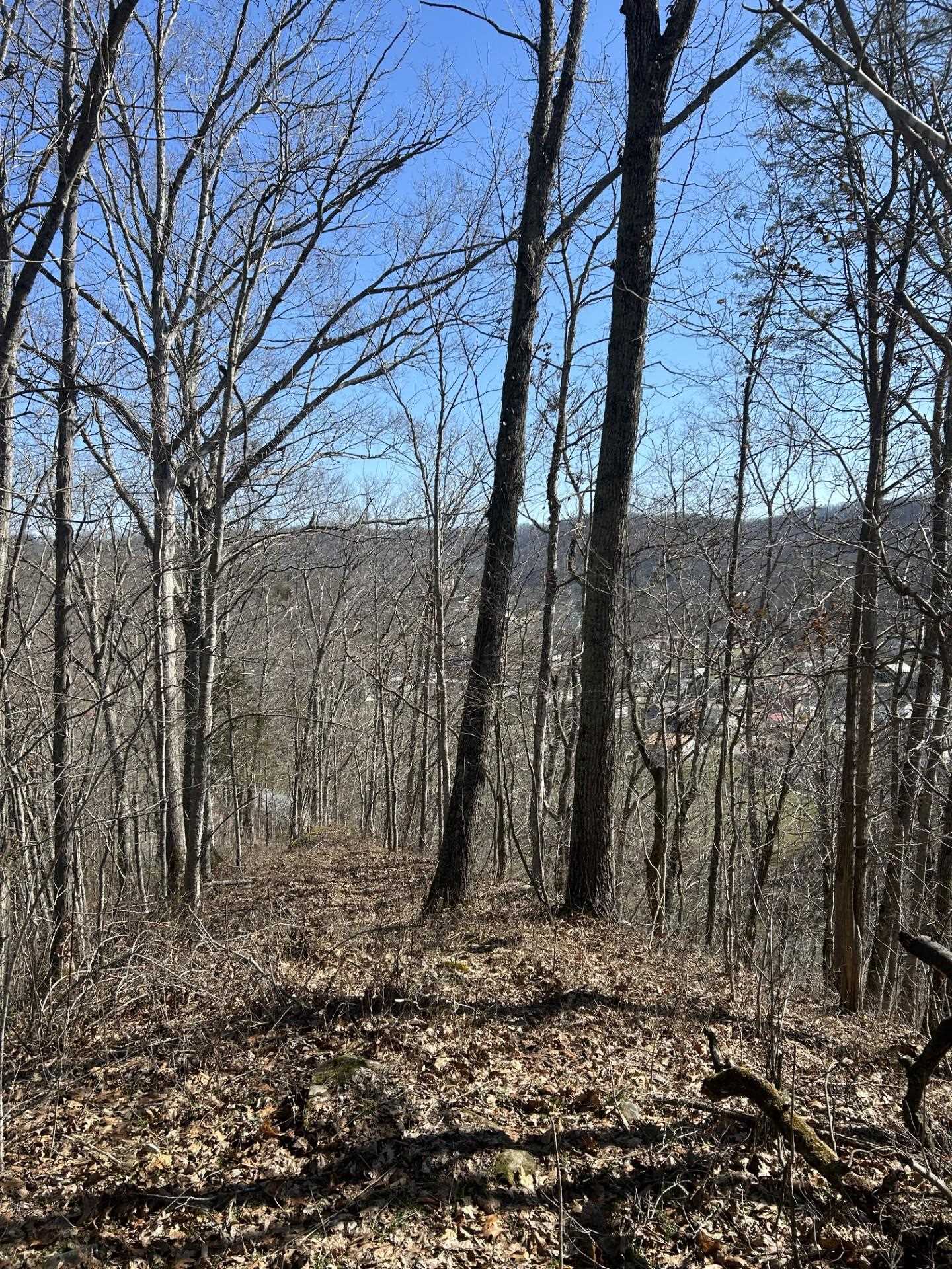 0 Rt 152 Wayne, WV 25570 - Photo 6 of 12 Gallery Image 6