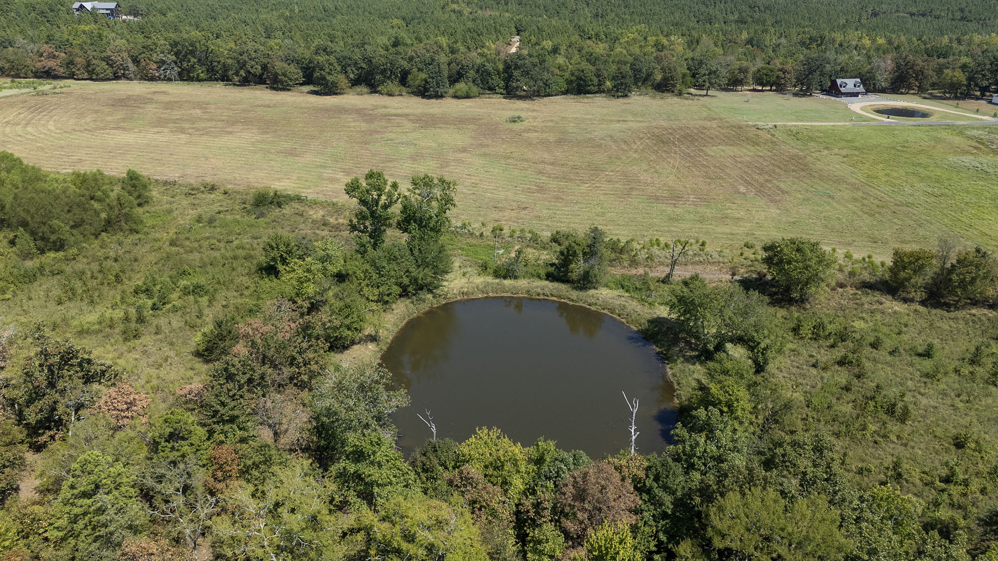 0 Rutty Pne Ridge Broken Bow, OK 74728 - Photo 5 of 22 Private pond surrounded by mature trees