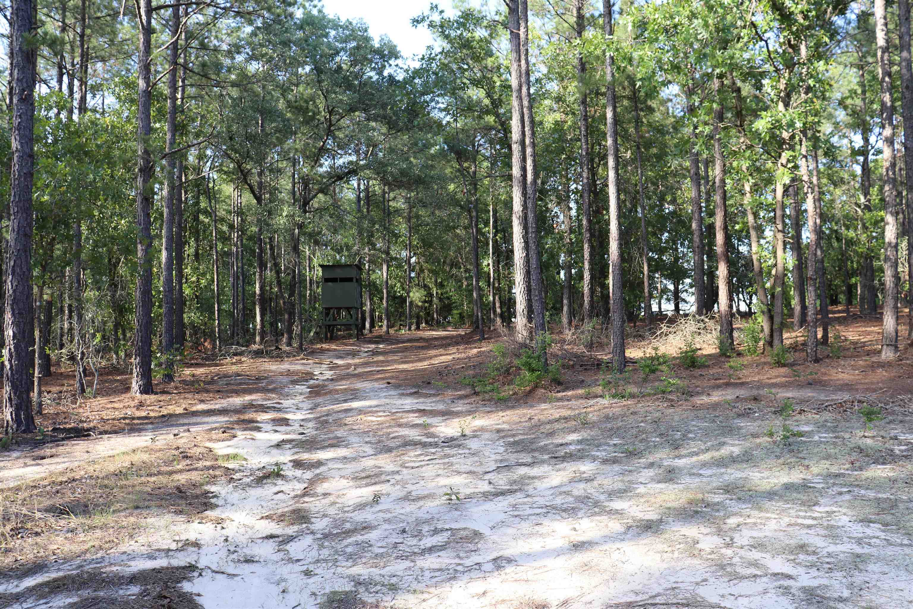 2631 Charlie Johnson Road Bethune, SC 29009 - Photo 28 of 29
