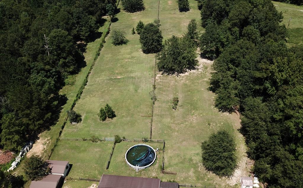 1602 County Road 50 Abbeville, AL 36310 - Photo 6 of 61
