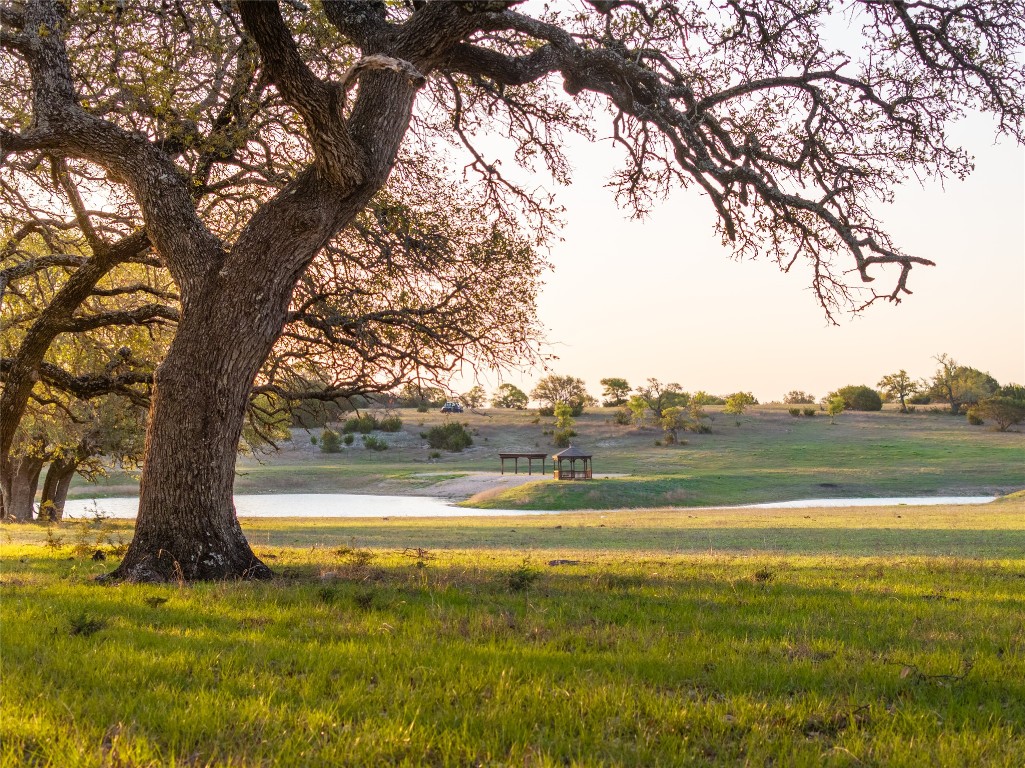 View of home's community featuring a lawn