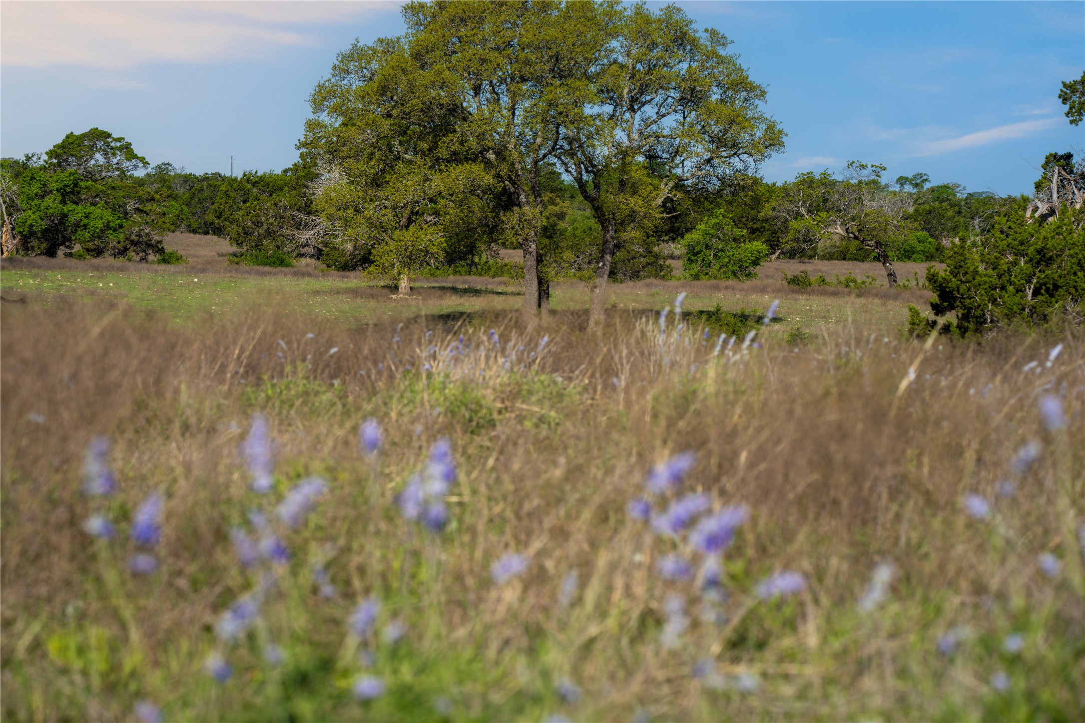 5525 Fm2340 Road Burnet, TX 78611 - Photo 22 of 39 a view of a lake with a yard and trees