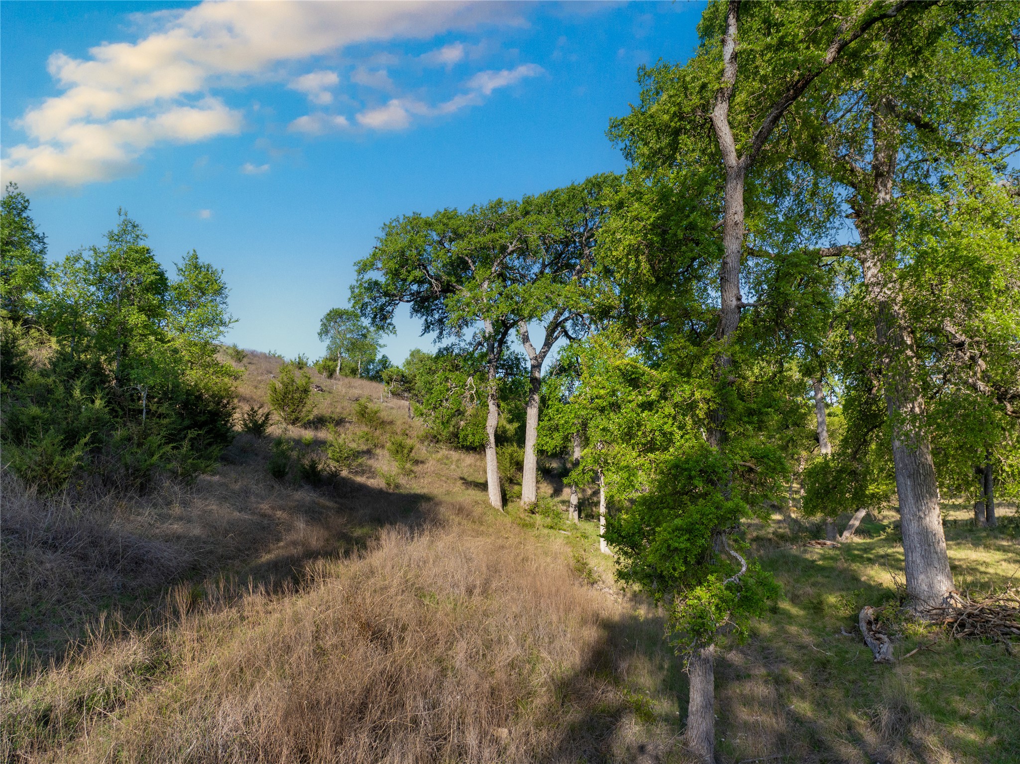 5525 Fm2340 Road Burnet, TX 78611 - Photo 24 of 39 a view of a lake with top of house