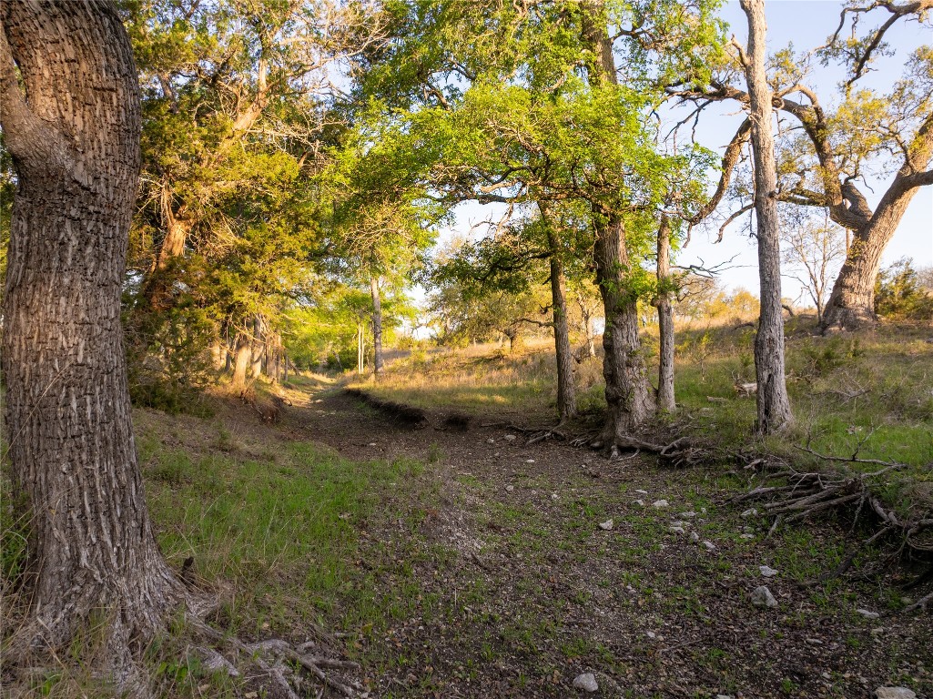 5525 Fm2340 Road Burnet, TX 78611 - Photo 31 of 39 View of local wilderness