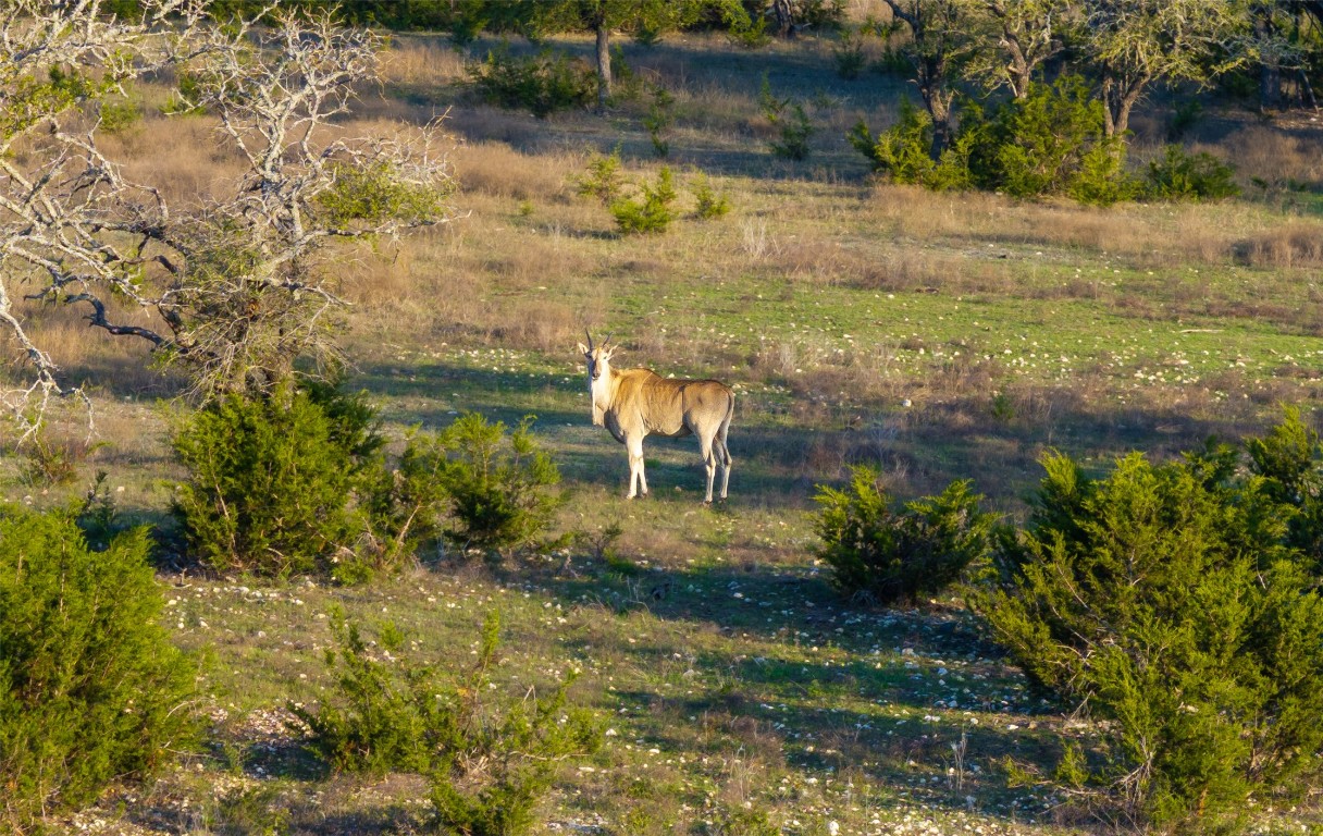 5525 Fm2340 Road Burnet, TX 78611 - Photo 32 of 39 Exterior view