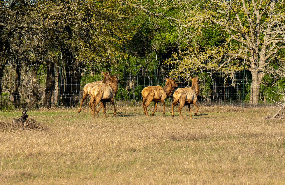 5525 Fm2340 Road Burnet, TX 78611 - Photo 36 of 39 Exterior view