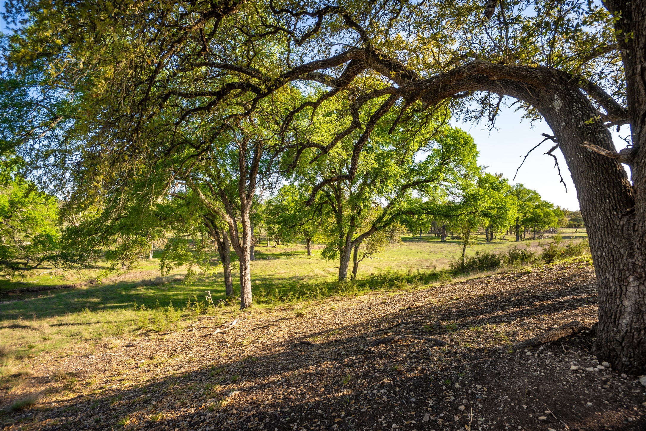 5525 Fm2340 Road Burnet, TX 78611 - Photo 8 of 39 a view of backyard of green space