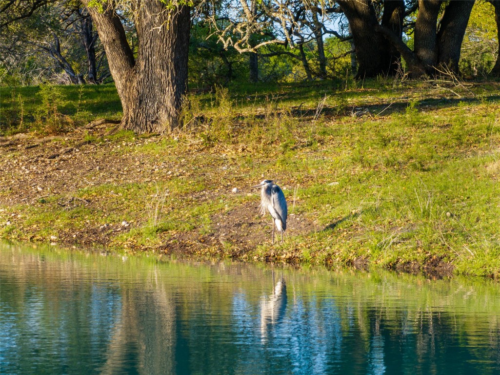 5525 Fm2340 Road Burnet, TX 78611 - Photo 10 of 39 Water view