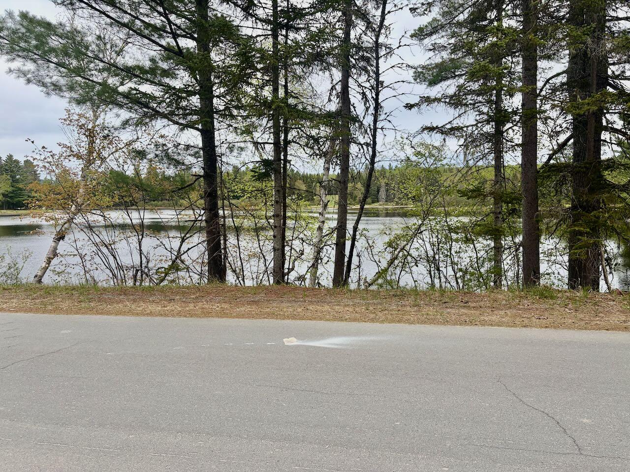 90 Eustis Village Road Eustis, ME 04936 - Photo 5 of 6 IMG_0302
