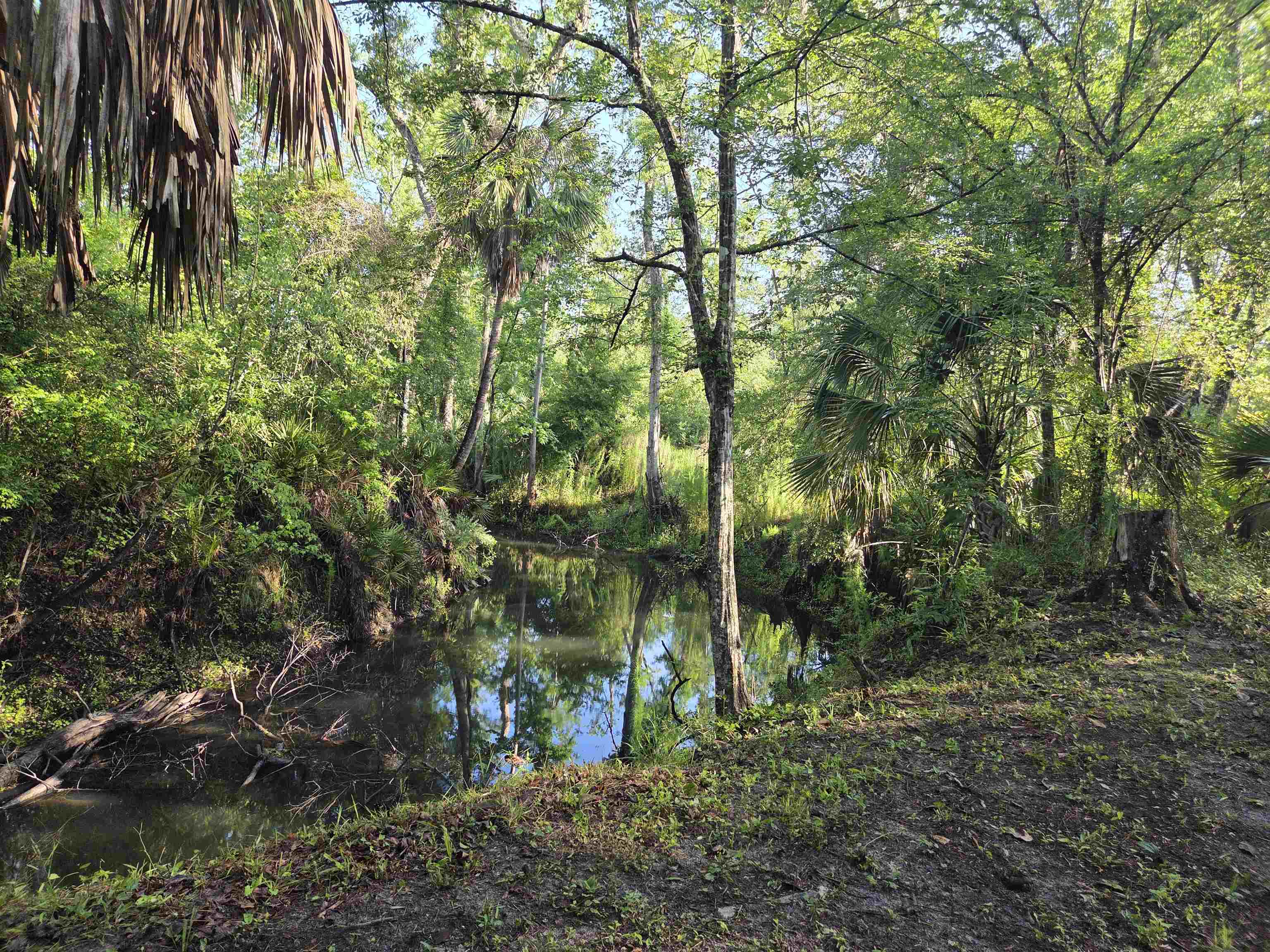 3645 Slaughter Road Perry, FL 32347 - Photo 43 of 51