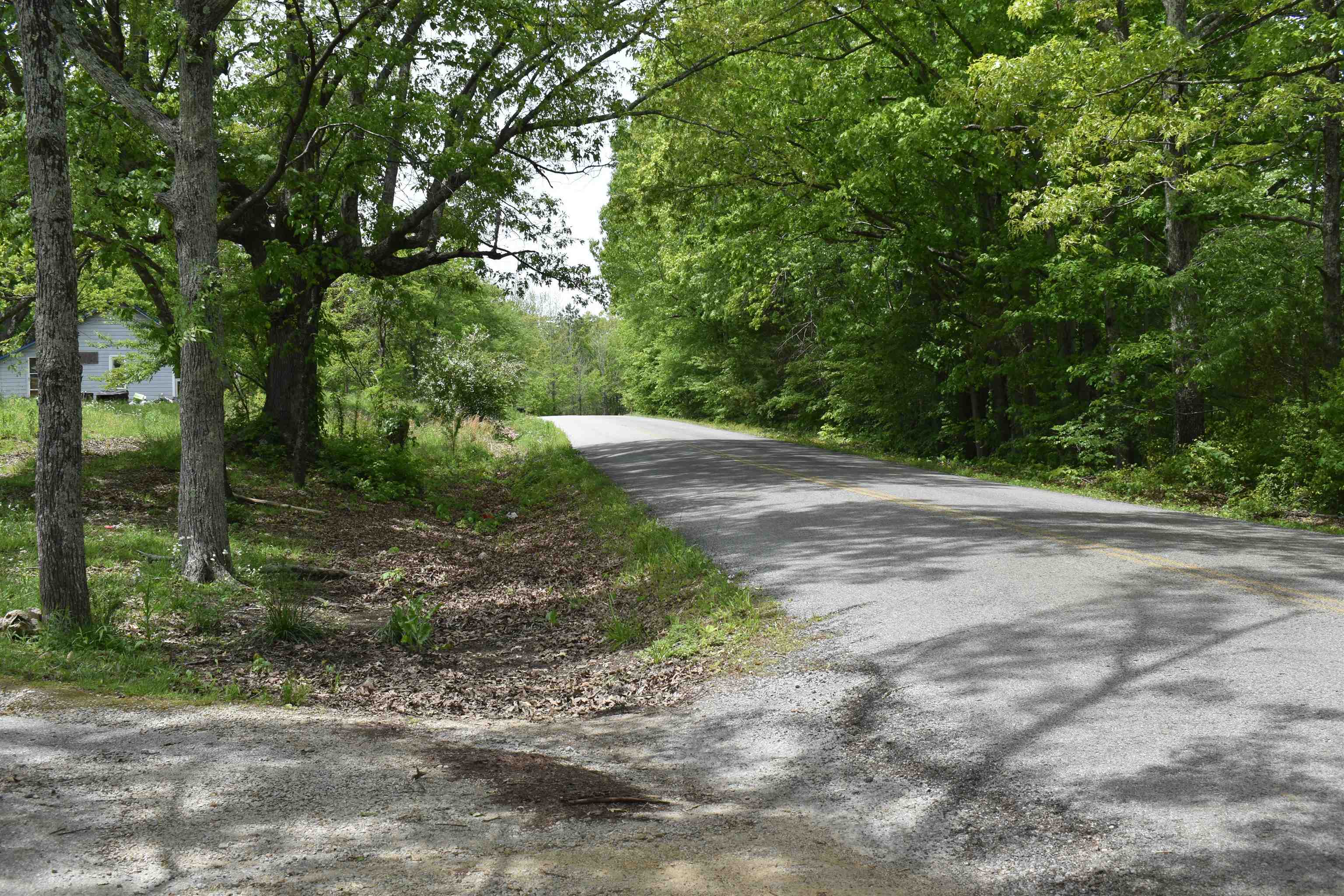 1600 Sticky Ridge Road Reagan, TN 38368 - Photo 3 of 17 a view of a dirt road with trees in the background