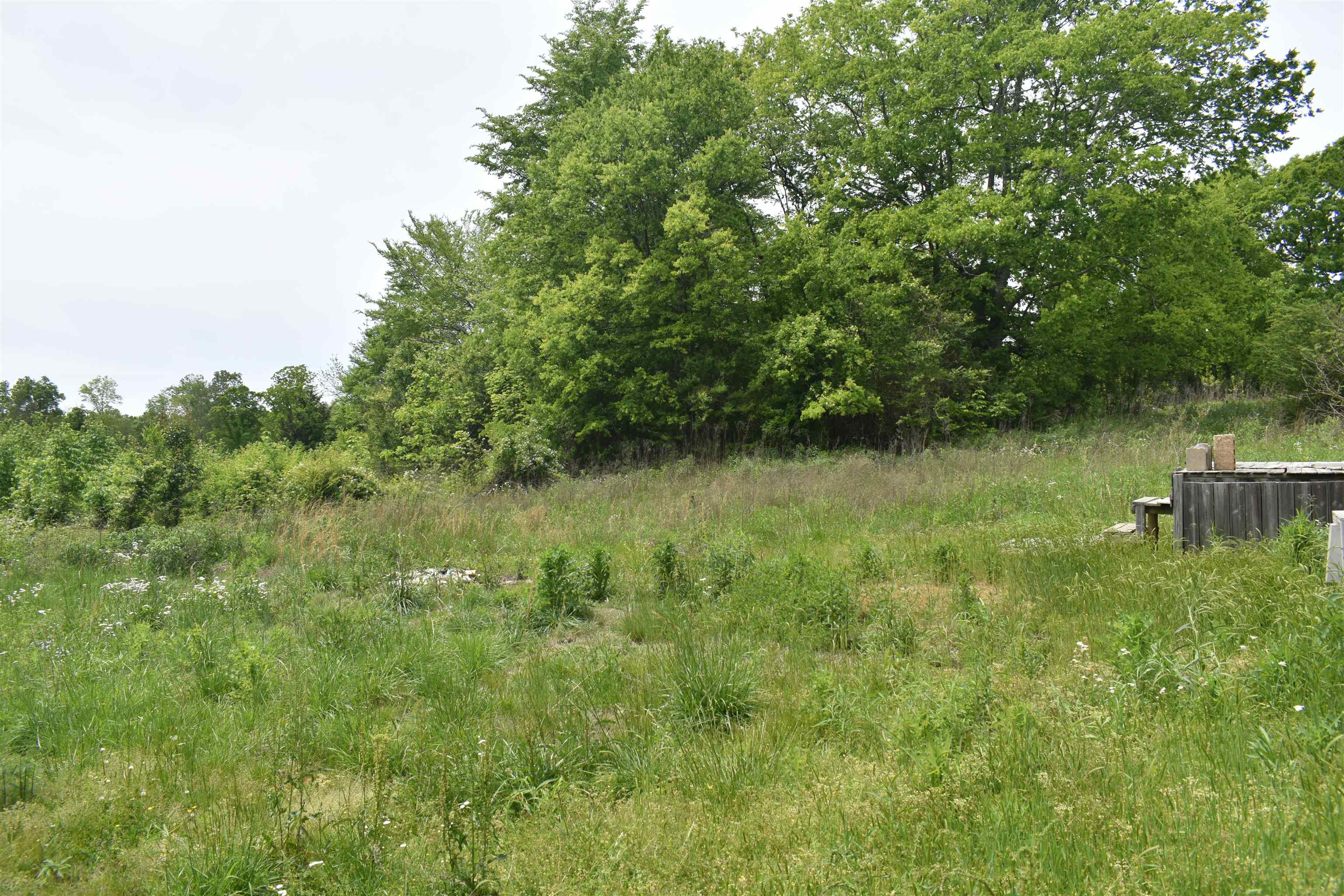 1600 Sticky Ridge Road Reagan, TN 38368 - Photo 6 of 17 a backyard of a house with lots of green space
