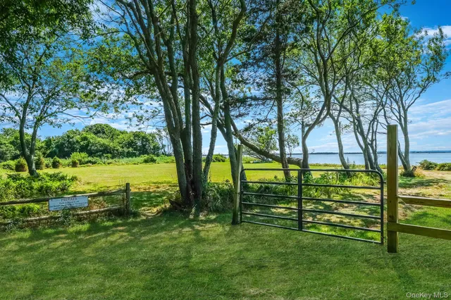 a view of a tree with an outdoor space
