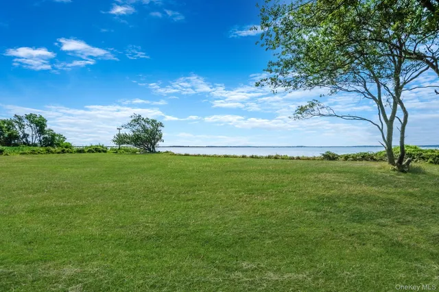 a view of a backyard of a house