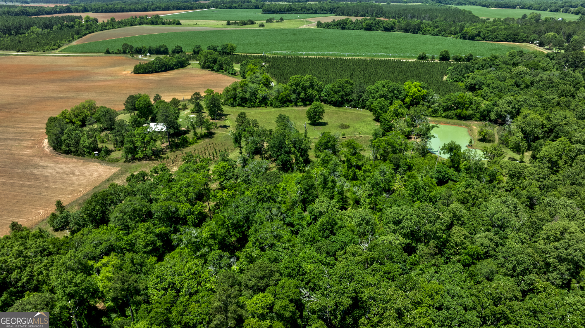 246 Melton Mill Road Dawson, GA 39842 - Photo 4 of 78