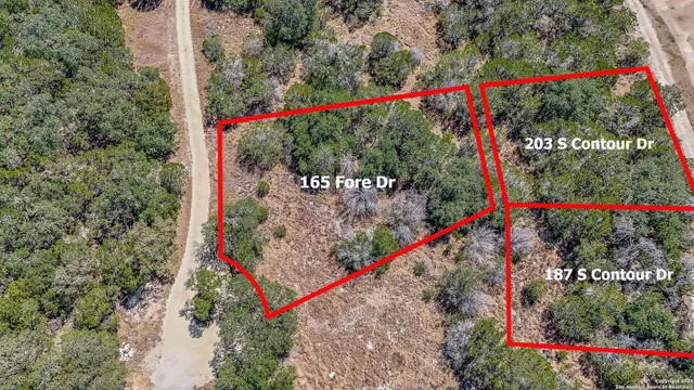 a view of a forest with tall trees