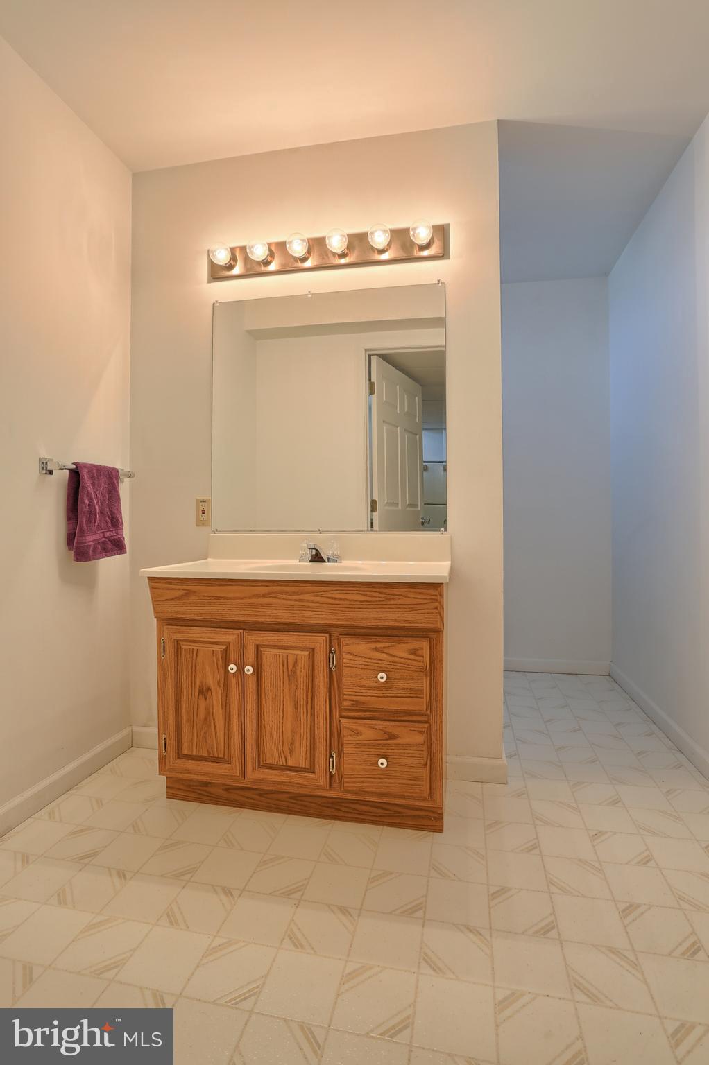 120 Spittler Road Pine Grove, PA 17963 - Photo 17 of 25 Lower Level Powder Room