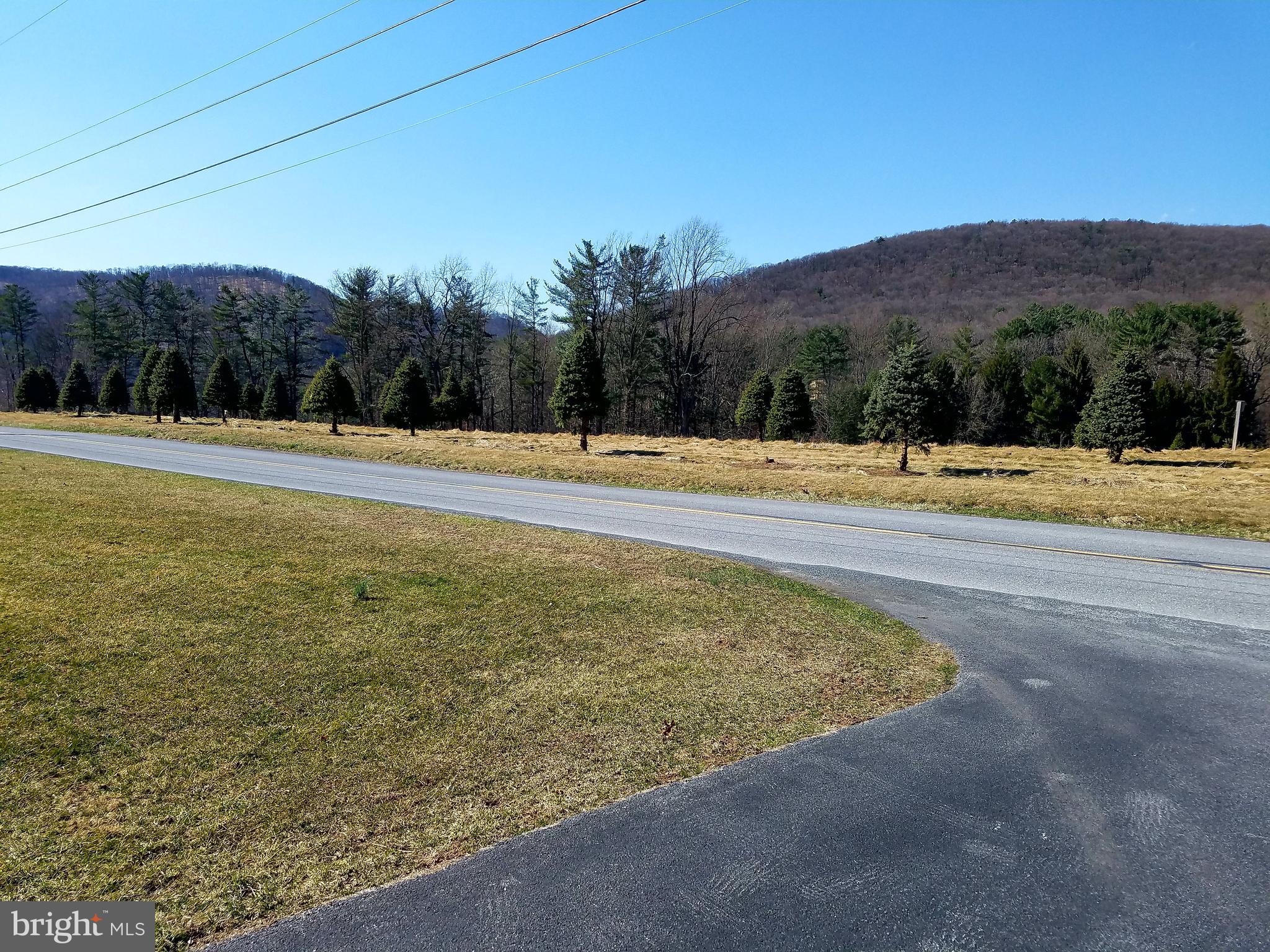 120 Spittler Road Pine Grove, PA 17963 - Photo 25 of 25 Tree Farm View across the street
