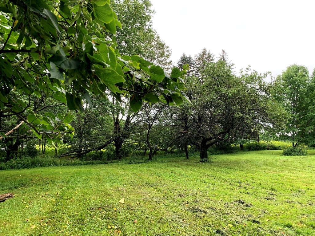 367 Hoffman Road Guilford, NY 13780 - Photo 27 of 37 Gallery Image 27