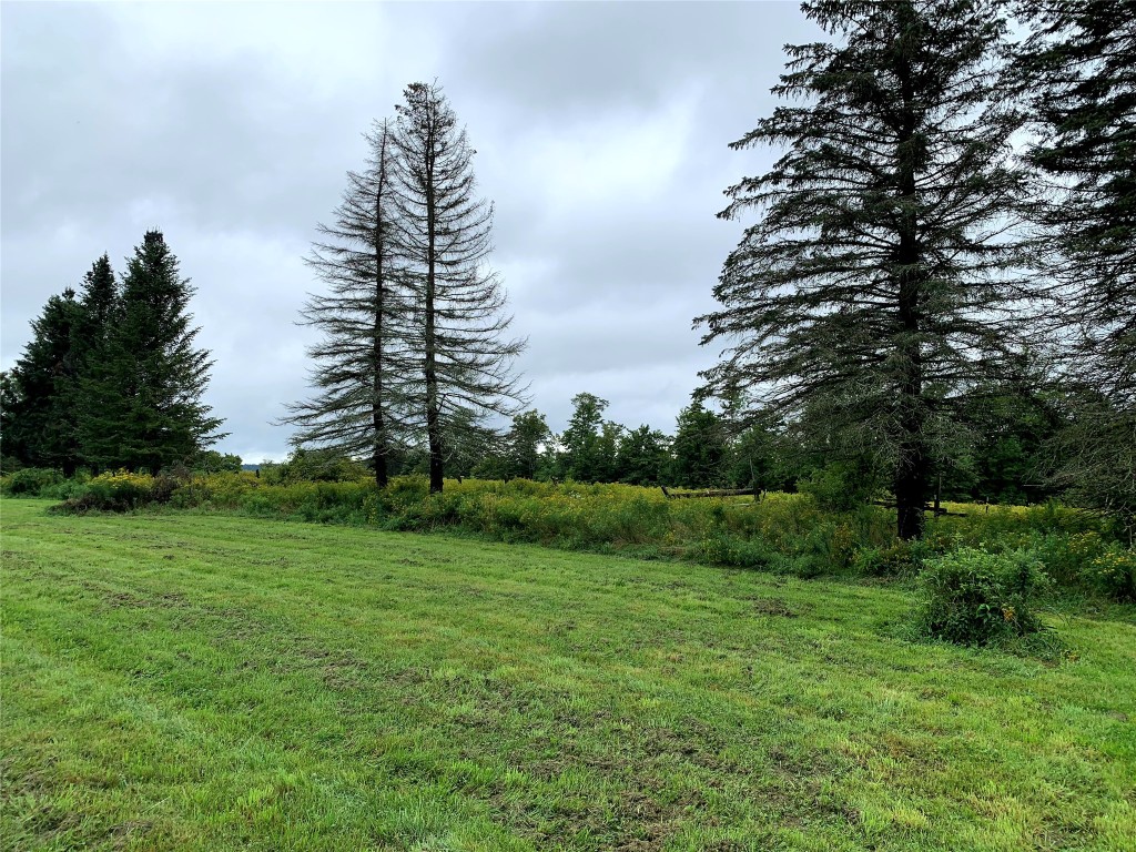 367 Hoffman Road Guilford, NY 13780 - Photo 34 of 37 Gallery Image 34
