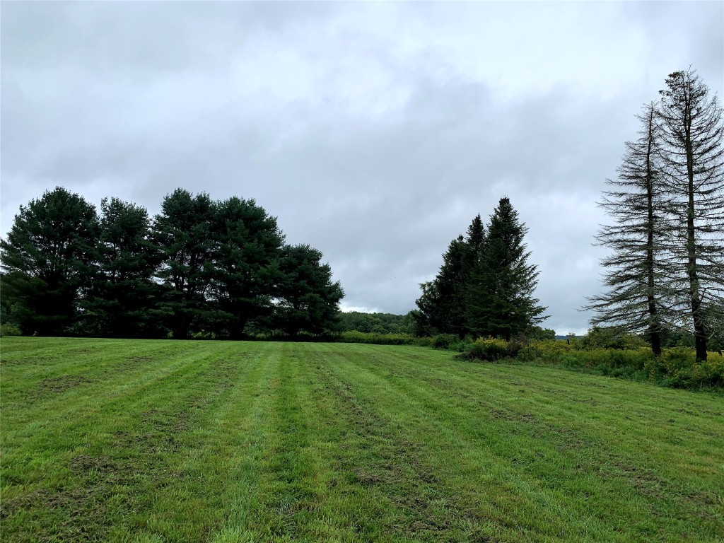367 Hoffman Road Guilford, NY 13780 - Photo 35 of 37 Gallery Image 35