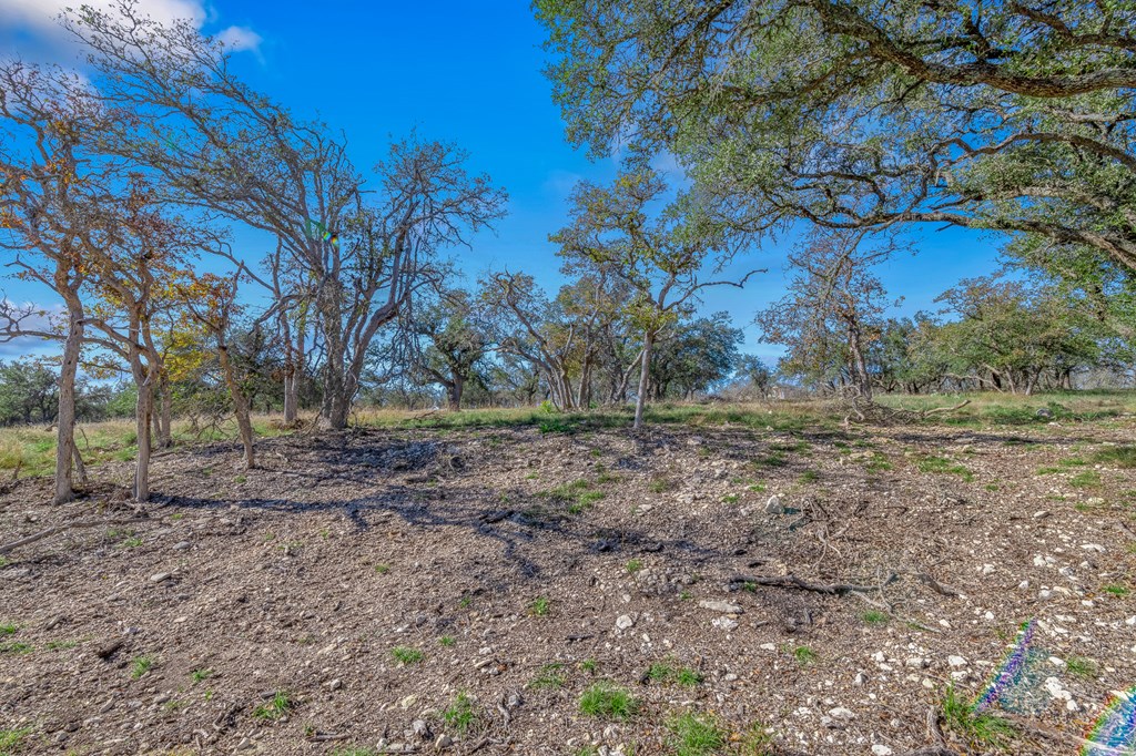 47 Nott Branch Road, Unit 47 Harper, TX 78631 - Photo 8 of 18 Gallery Image 8