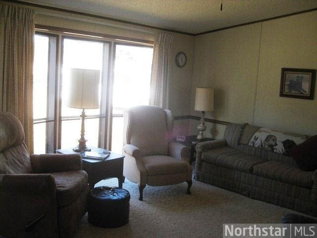 1029 Pillager Dam Road Pillager, MN 56473 - Photo 4 of 18 Gallery Image 4