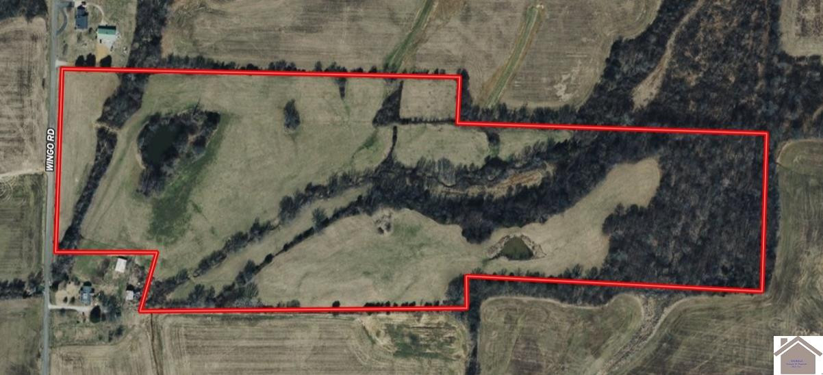 0 Wingo Road Wingo, KY 42088 - Photo 1 of 18 Photo 1