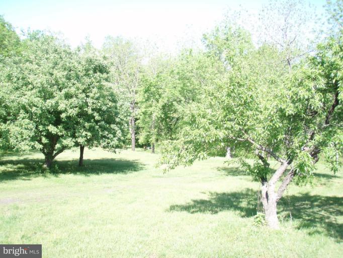 24281 Raccoon Ford Road Culpeper, VA 22701 - Photo 6 of 27 Exterior (General)