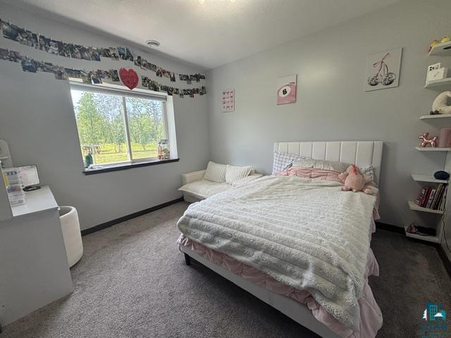 3454 Anderson Road Hibbing, MN 55746 - Photo 12 of 31 Light-filled room featuring a large window, plush carpet flooring, and a contemporary padded headboard