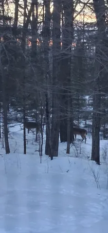 $600,000 | 64503 Norway Spruce Road, Finlayson, MN 55735