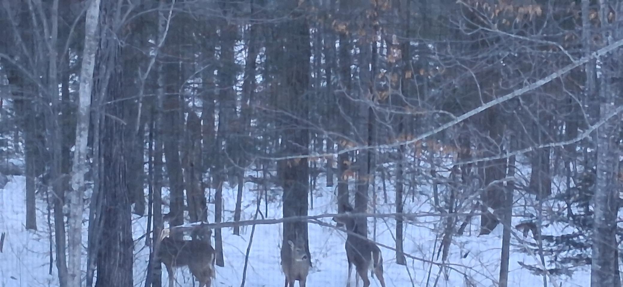 64503 Norway Spruce Road Finlayson, MN 55735 - Photo 46 of 47