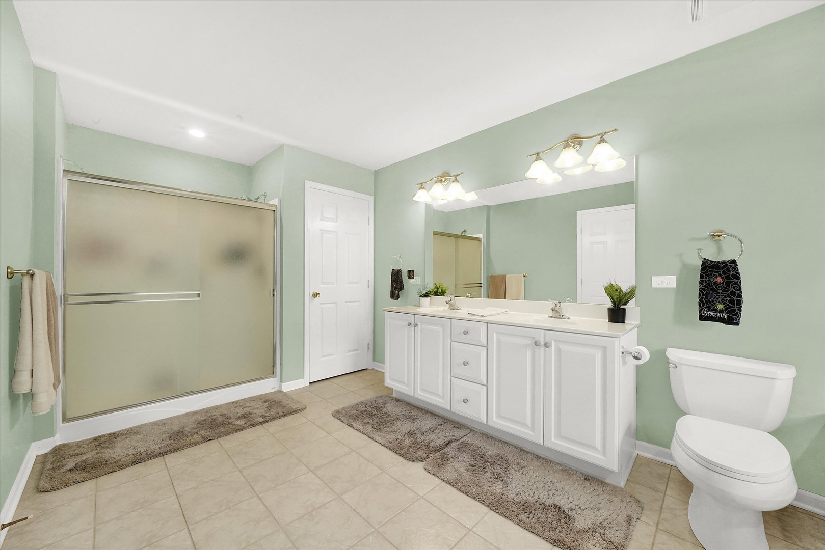 546 Caleb Road Braidwood, IL 60408 - Photo 18 of 34 a spacious bathroom with a toilet sink and mirror