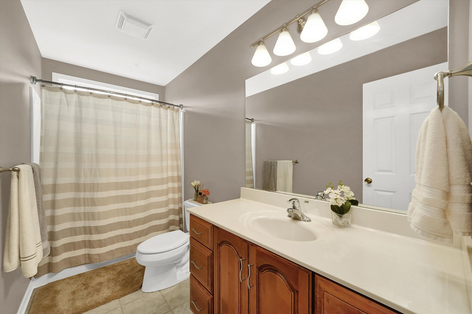 546 Caleb Road Braidwood, IL 60408 - Photo 22 of 34 a bathroom with a sink a toilet and shower curtain