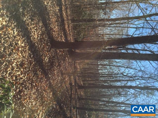 0 Mill Pond Road Shipman, VA 22971 - Photo 2 of 2 a view of outside area