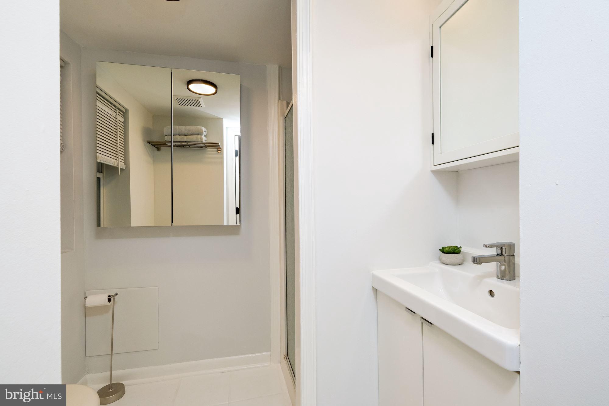 1136 5th Street Northeast Washington, DC 20002 - Photo 34 of 45 Basement Bathroom